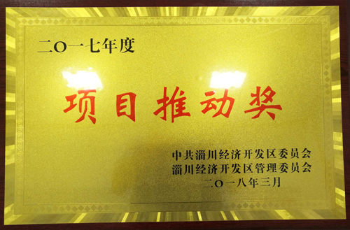 2017 Project Promotion Award